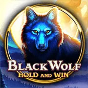 Đội ngũ hỗ trợ khách hàng 3wins