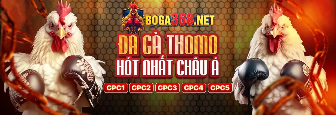 Hình ảnh chính sách quyền riêng tư của 3wins trang chủ chính thức